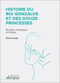 Histoire du roi Gonzalve et des douze princesses (eBook, ePUB)