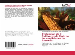 Evaluación de 3 Cultivares de Maíz en las condiciones de Amancio