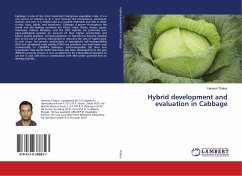 Hybrid development and evaluation in Cabbage