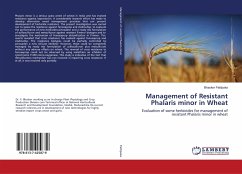 Management of Resistant Phalaris minor in Wheat - Pattipaka, Bhasker