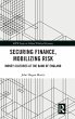 Securing Finance, Mobilizing Risk - Bild 1