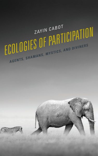 Ecologies of Participation (eBook, ePUB)