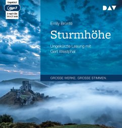 Sturmhöhe - Brontë, Emily