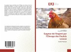 Gagnez de l'Argent par l¿Élevage des Poulets Locaux