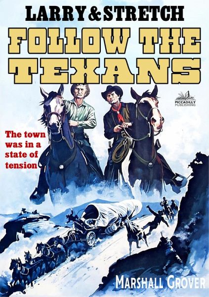 Larry and Stretch 13: Follow the Texans (eBook, ePUB)