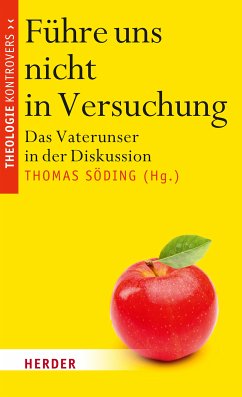 Führe uns nicht in Versuchung (eBook, PDF)