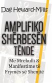 Amplifiko shërbesën tënde me mrekulli& manifestime të frymës së shenjtë (eBook, ePUB)