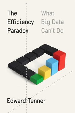The Efficiency Paradox (eBook, ePUB) - Tenner, Edward