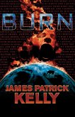Burn (eBook, ePUB)