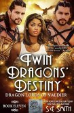 Twin Dragons' Destiny (eBook, ePUB)