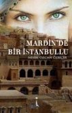 Mardinde Bir Istanbullu