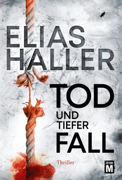 Tod und tiefer Fall / Erik Donner Bd.1 - Haller, Elias