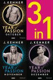 Oktober. November. Dezember. / Year of Passion Bd.10-12 (eBook, ePUB)