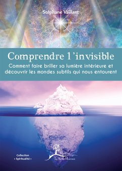 Comprendre l'invisible (eBook, ePUB) - Vaillant, Stéphane
