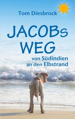 Jacobs Weg (eBook, ePUB) - Diesbrock, Tom