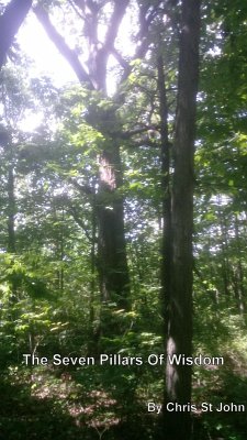 Cover The Seven Pillars Of Wisdom (eBook, ePUB)