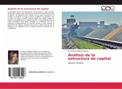 Análisis de la estructura de capital - Palacios Alvarez, Ana Karina