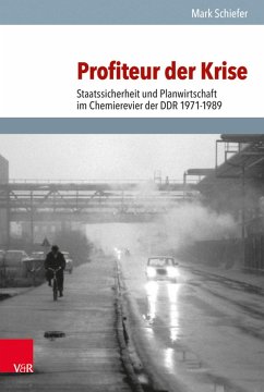 Profiteur der Krise (eBook, PDF) - Schiefer, Mark