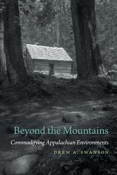 Beyond the Mountains - Swanson, Drew A.