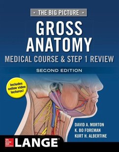 The Big Picture: Gross Anatomy, Medical Course & Step 1 Review, Second Edition - Morton, David A; Foreman, K Bo; Albertine, Kurt H