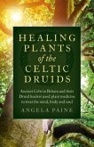 Healing Plants of the Celtic Druids