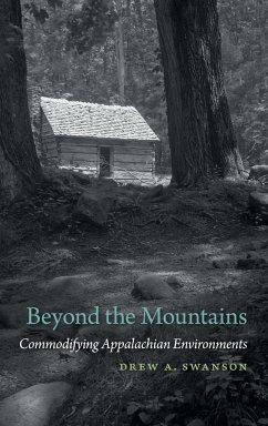 Beyond the Mountains - Swanson, Drew A.