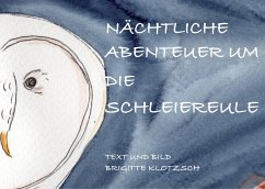 Nächtliche Abenteuer um die Schleiereule - Klotzsch, Brigitte