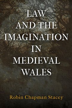 Law and the Imagination in Medieval Wales - Stacey, Robin Chapman