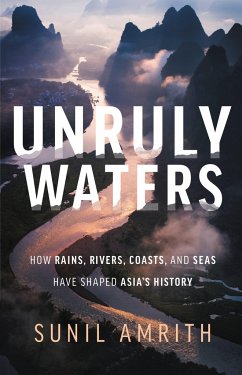 Unruly Waters - Amrith, Sunil