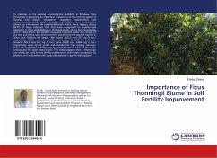 Importance of Ficus Thonningii Blume in Soil Fertility Improvement - Diress, Enideg