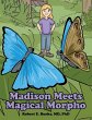 Madison Meets Magical Morpho - Bild 1