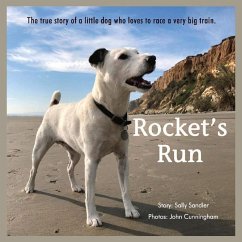 Rocket's Run: Volume 1 - Sandler, Sally