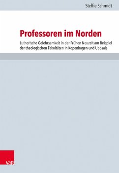 Professoren im Norden (eBook, PDF) - Schmidt, Steffie