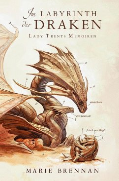 Im Labyrinth der Draken / Lady Trents Memoiren Bd.4 - Brennan, Marie