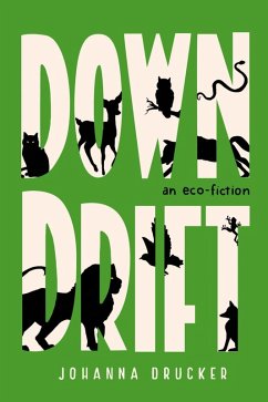 Downdrift (eBook, ePUB) - Drucker, Johanna