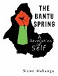 The Bantu Spring (eBook, ePUB) - Bild 1
