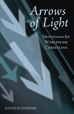 Arrows of Light (eBook, ePUB) - Schneider, David