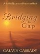 Bridging the Gap (eBook, ePUB) - Bild 1