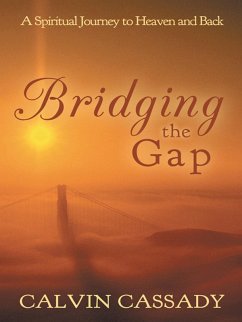 Cover Bridging the Gap (eBook, ePUB)