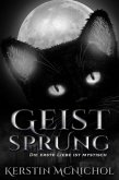Geist-Sprung (eBook, ePUB)