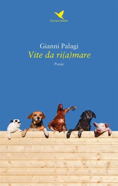 Vite da ri(a)mare (eBook, ePUB) - Palagi, Gianni