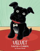 Velvet Learns a Lesson (eBook, ePUB)