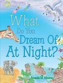 What Do You Dream of at Night? (eBook, ePUB)