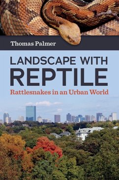 Cover Landscape with Reptile (eBook, ePUB)