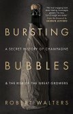 Bursting Bubbles (eBook, ePUB) Bursting Bubbles (eBook, ePUB)