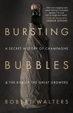 Bursting Bubbles (eBook, ePUB) - Walters, Robert