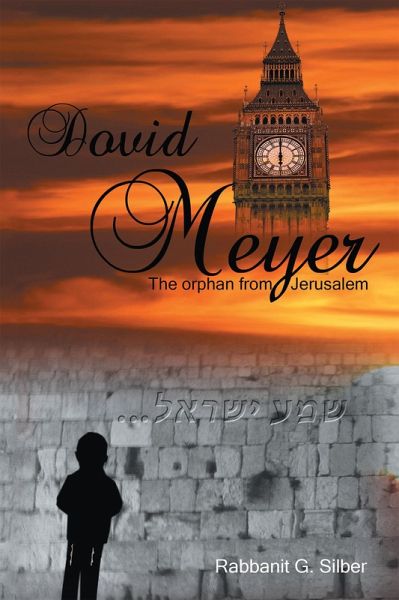 Dovid Meyer (eBook, ePUB) Dovid Meyer (eBook, ePUB)