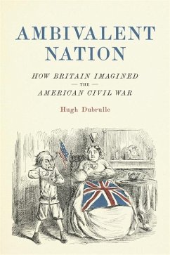 Cover Ambivalent Nation (eBook, ePUB)