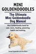 Mini Goldendoodles. The Ultimate Mini... - Bild 1