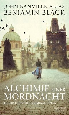 Alchimie einer Mordnacht (eBook, ePUB) - Black, Benjamin
